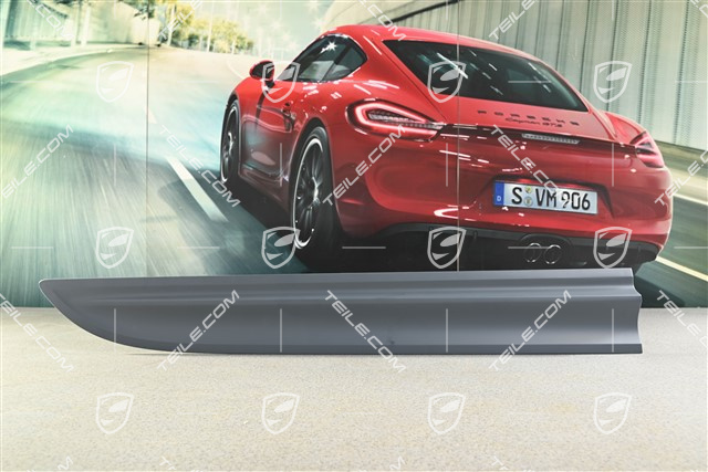 Front door cover / trim, R