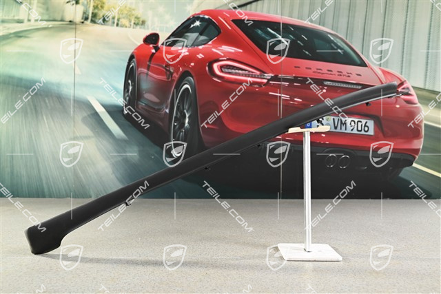 Dodatkowa uszczelka drzwi tylnych, dolna, L