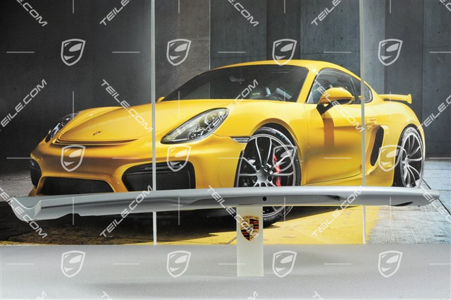 Rear spoiler
