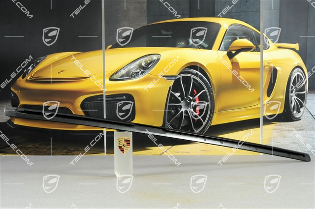 Führungsschiene, schwarz, R Führungsschiene, schwarz, R