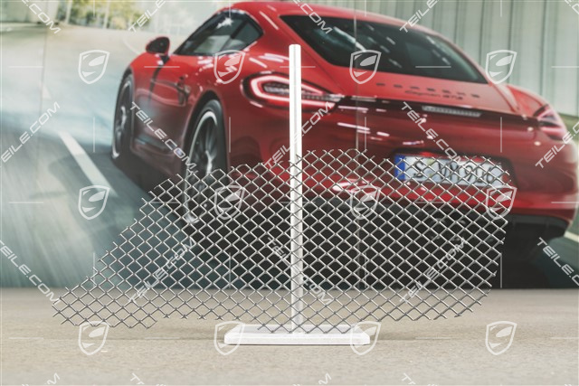 Ventilation grille, lateral, L