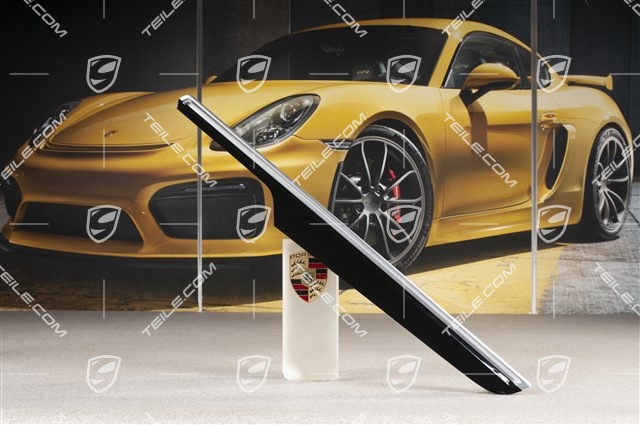 Zierleiste für Türverkleidung, hinten, Klavierlackopitk, Hochglanz Schwarz, R