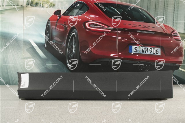 Leiste, Tür hinten, Schwarz matt, L