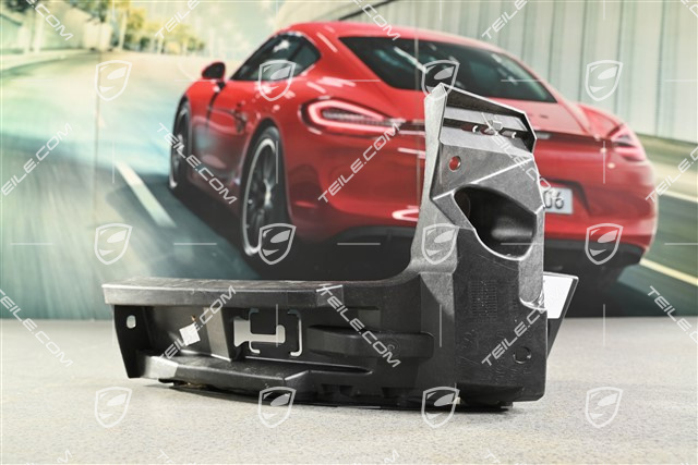 Halteleiste, seitlich, hinten, R