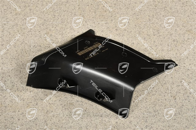 Rear light cover, outer, L