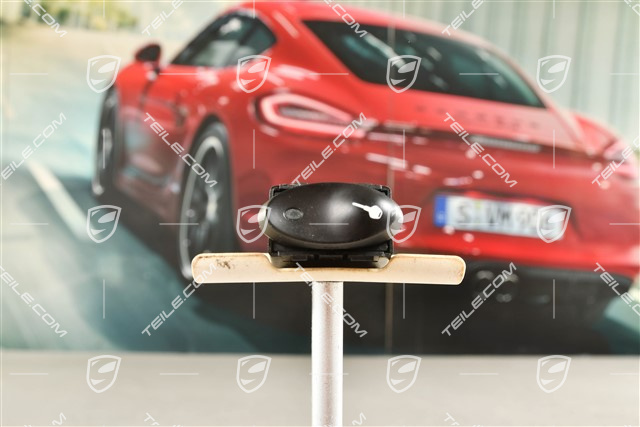 Central locking switch