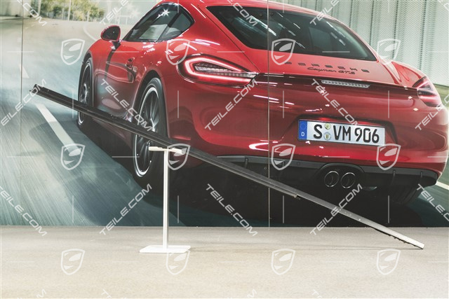 Zierleiste, außen, Targa/Cabrio, L