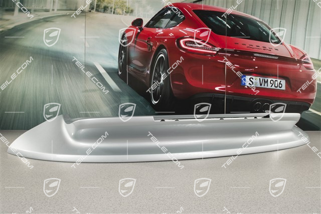 Rear spoiler, bottom half, Coupe