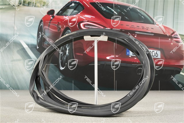 Türdichtung, aussen, hinten, L=R