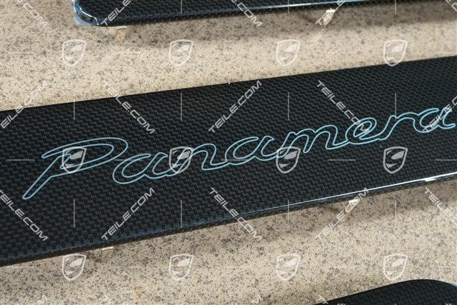 4S, Blenden/Einstiegleisten, ohne Beleuchtung, Carbon, Satz