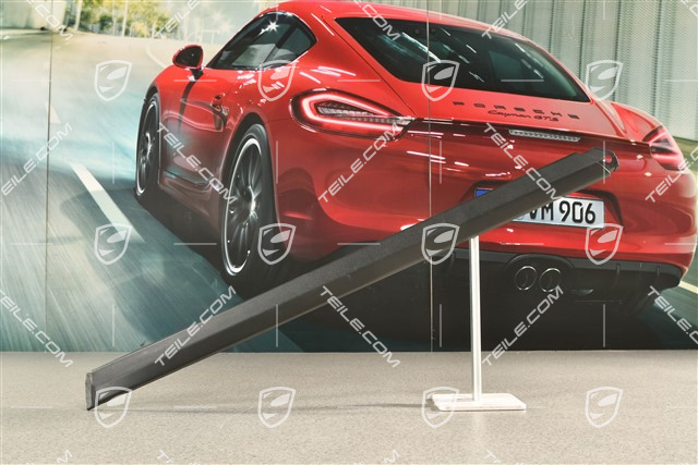 Einstiegsleiste, hinten, aussen, Satinschwarz, L