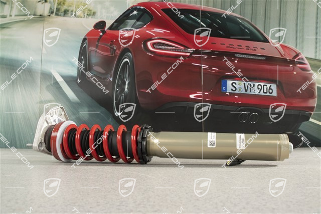 GT3 / R / Speedster, Stossdämpfer / Schwingungsdämpfer, VA, PASM, Komplett