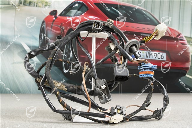 Wiązka elektryczna, przód samochodu, Xenon, L