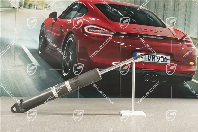 Turbo, Stossdämpfer / Schwingungsdämpfer, Hinterachse, PASM, L=R