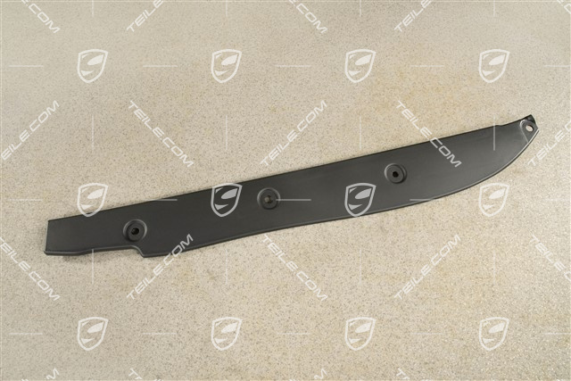 Abdeckung zwischen Kotflügel und Tür, GTS, R