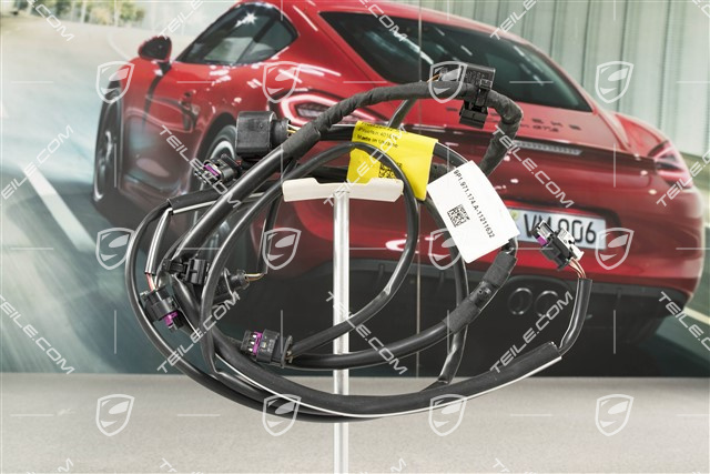 Kabelstrang Verkleidung hinten, C2/C2S, PDC