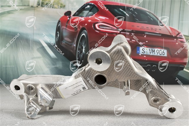 Rear axle side section, L