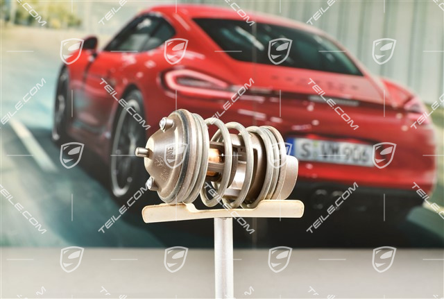 Thermostat insert, 3,6L