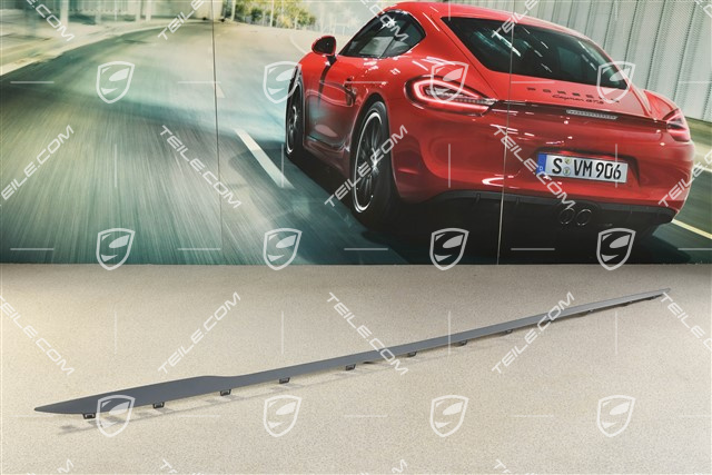 Zierleiste für Schwellerblende / Seitenschweller, L