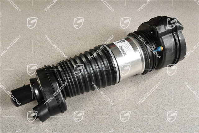 Stossdämpfer / Schwingungsdämpfer, Luftfederung, VA, PASM, L