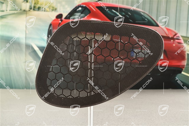 Osłona na głośnik w tapicerce bocznej, Cocoa, Coupe, R