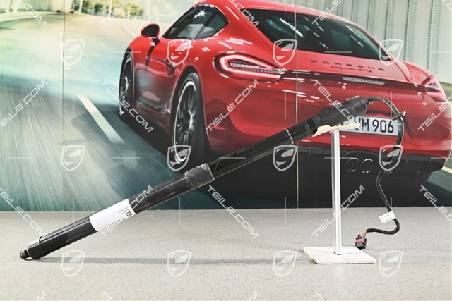 Antriebseinheit / Zylinder , Servoschließung Heckklappe, L=R