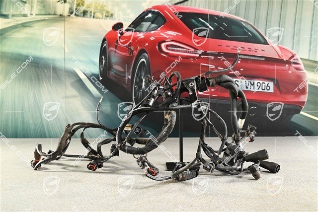 Wiring harness (cut plug)