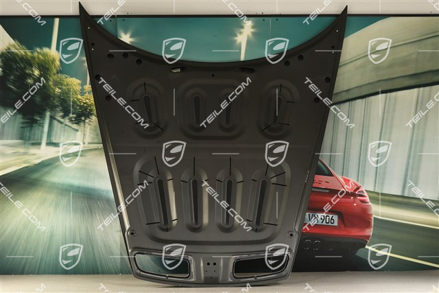 GT3 / Dakar / S/T Lid front, Carbon, lacquered