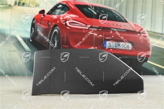 Blende für Seitenschweller, Hinten, R