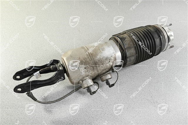 Stossdämpfer / Schwingungsdämpfer, Luftfederung, VA, Komplett, L