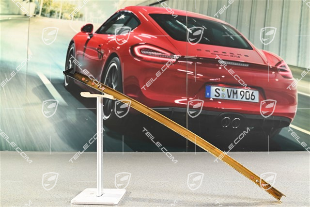 Cabrio, Fensterfuehrungsschiene, Schwarz, L