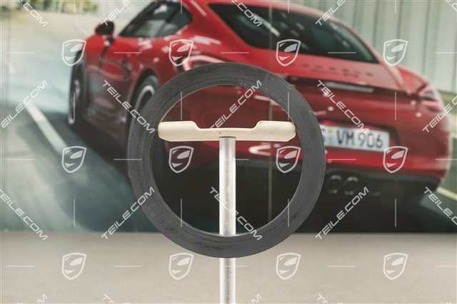 Aktivkohlebehälter, Dichtung für Gehäuseunterteil USA