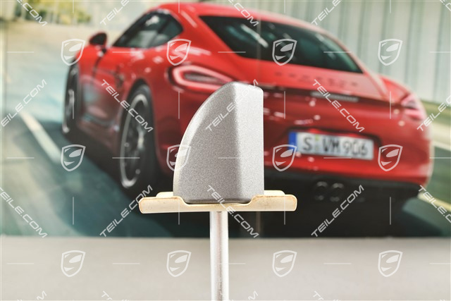 Zierleiste aussen, Fahrerseite, LHD, Vulkangrau, L