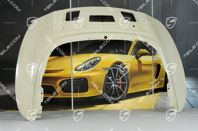 Targa, Pokrywa/maska dachu bez wycieraczki tylnej szyby Targa, Pokrywa/maska dachu bez wycieraczki tylnej szyby