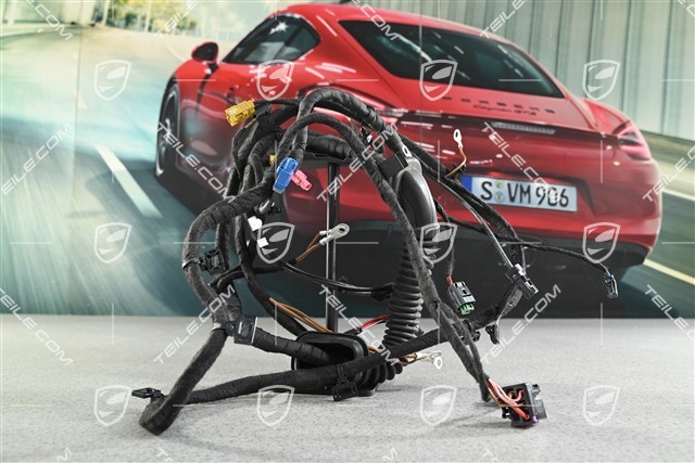 Wiązka instalacji elektrycznej tylnej klapy, R