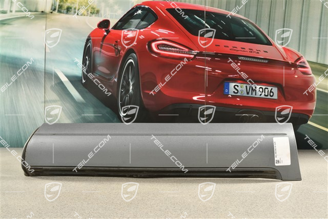 Zierleiste für Hintertür, R