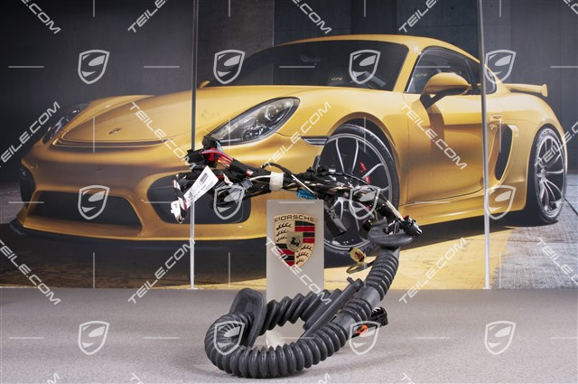 Wiązka instalancji elektrycznej drzwi pasażera / Premium sound system