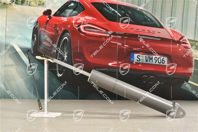 Stoßdämpfer, C2/C2S/C4/C4S, Coupe, Cabrio, Sportfahrwerk, PASM (elektr. Regelung), L=R