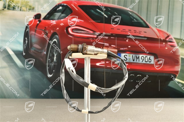 4,2L TDI, Oxygen sensor, DPF, brown