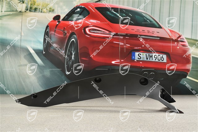 Wing / Fender Rear Cover, Black, L