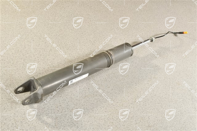 Stossdämpfer / Schwingungsdämpfer, HA, Turbo, L=R