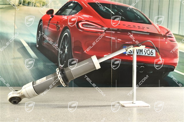 Stoßdämpfer, GT3  PASM , L=R
