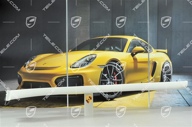 Osłona progu lakierowana, C4 / 4S / Turbo / GT3 RS, R