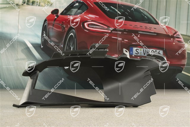 Turbo / Sport Design, Prowadnica powietrza, boczna, bez systemu nightvision, L