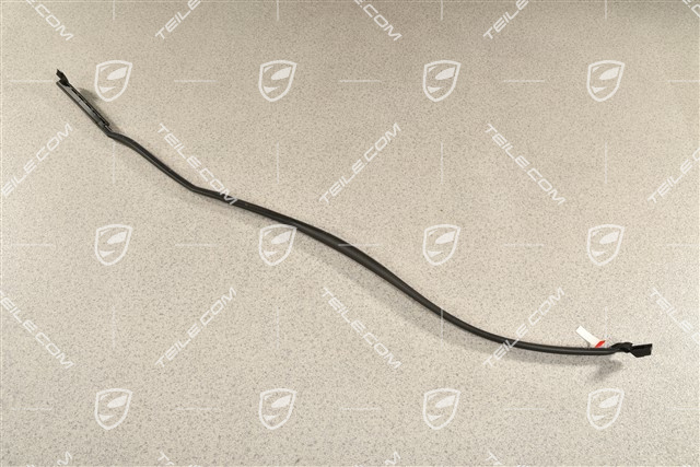 Hintere Tür-Dichtung, vorne, R