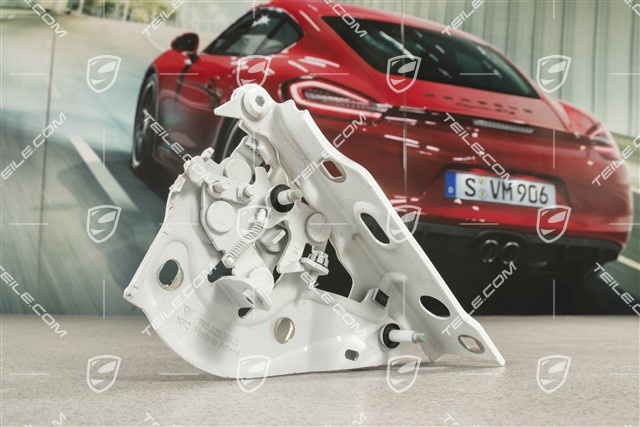 Hinge, Pedestrian protection, L