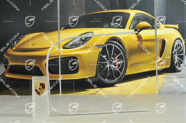 Zierrahmen / Heckscheibe, R