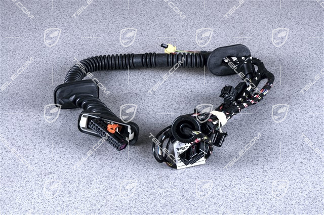 Wiązka instalancji elektrycznej drzwi pasażera / entry and drive / sound package 2 Wiązka instalancji elektrycznej drzwi pasażera / entry and drive / sound package 2