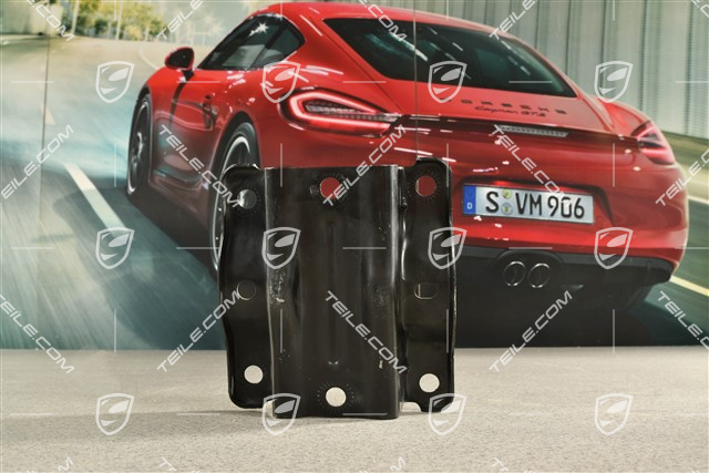 Halter, Stützlager der Antriebswelle