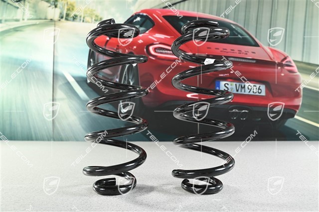 Schraubenfeder, HA, L+R